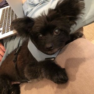 Meet your Posher, Keerthi